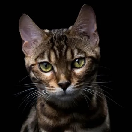 Копия enhanced-27839-1441986052-3 1.jpg