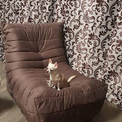 Купить кресло для домашнего кинотеатра с доставкой. Отзыв о комфорте просмотра телевизора с фото. 5/5.