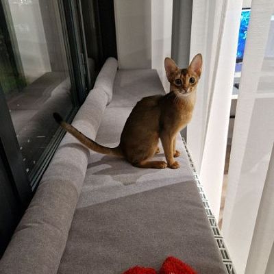 Матрас и валики серого цвета на подоконник точно по размеру. Отзыв клиента о матрасиках от фабрики Гливер, рейтинг 5 звезд. 