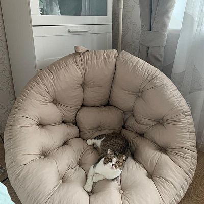 Лаунж мебель для создания зоны релакса. Отзыв с фото и рейтингом 5 звезд.