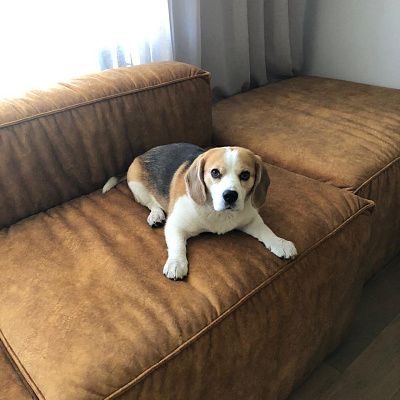 Модульный бескаркасный диван на заказ. Отзыв о индивидуальном заказе с фото. 5/5.