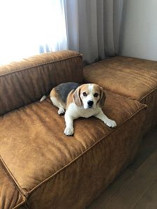 Модульный бескаркасный диван на заказ. Отзыв о индивидуальном заказе с фото. 5/5.