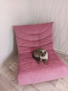 Фото покупателя, оценка 5 - 7