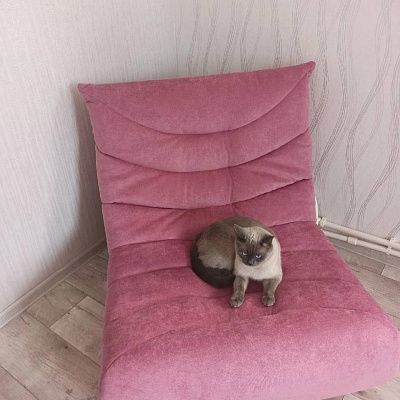 Купить стильные лаунж кресла недорого. Отзыв о качестве по доступной цене с фото. 5/5.