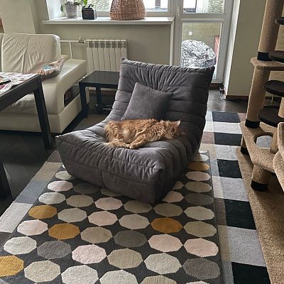 Кресло для полноценного отдыха дома: отзыв с фото в интерьере. 5 звезд