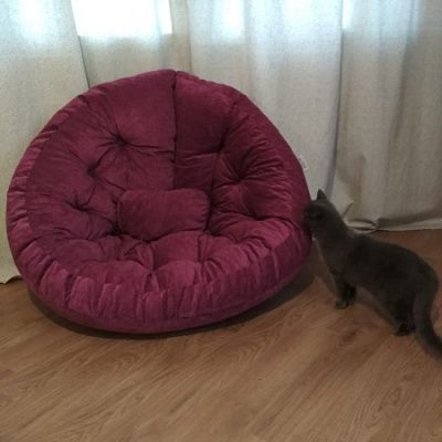 Лаунж кресла в интерьере гостиной. Отзыв о стиле и комфорте с фото. 5 звезд.