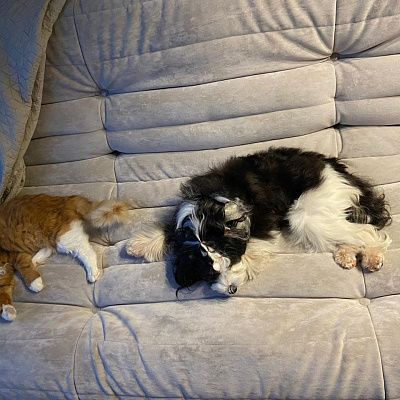 Мягкий бескаркасный диван для ежедневного отдыха. Отзыв с фото и рейтингом 5 звезд.