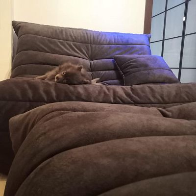 Мягкое кресло с подставкой для ног: отзыв о комфорте. Фото в гостиной. 5/5.