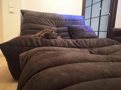 Мягкое кресло с подставкой для ног: отзыв о комфорте. Фото в гостиной. 5/5.