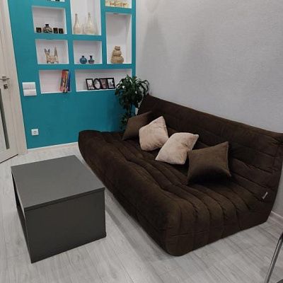 Легкий диван для малогабаритной квартиры. Отзыв о удобстве транспортировки с фото. 5/5.