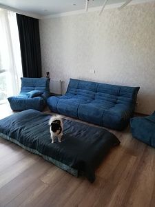 Купили очень мягкий диван для релакса. Отзыв с фото и оценкой 5/5.