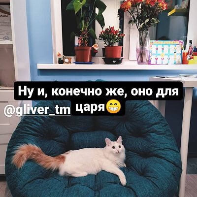 Купить стильные лаунж кресла недорого. Отзыв о качестве по доступной цене с фото. 5/5.