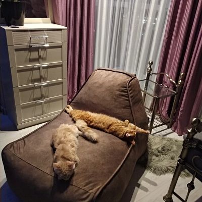 Лаунж кресла в интерьере гостиной. Отзыв о стиле и комфорте с фото. 5 звезд.