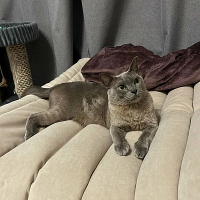 Реальные отзывы о бескаркасном кресле: фото в интерьере и оценка 5 звезд