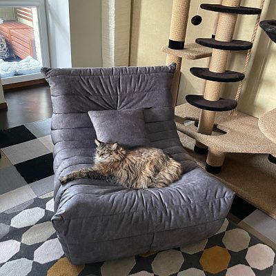 Кресло для полноценного отдыха дома: отзыв с фото в интерьере. 5 звезд