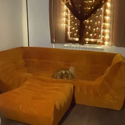 Купить бескаркасный диван недорого от производителя. Отзыв о выгоде и качестве с фото. 5 звезд.