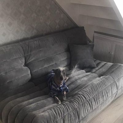 Диван для кинотеатра на мансардном этаже. Фото зоны отдыха и отзыв с рейтингом 5/5