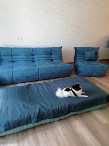 Купили очень мягкий диван для релакса. Отзыв с фото и оценкой 5/5.