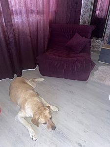 Кресло для полного расслабления после работы: отзыв с фото. 5 звезд