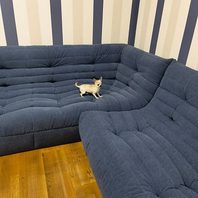 Куплю бескаркасный диван!: отзыв о поиске и выборе. Фото популярной модели мягкой мебели. 5 звезд.