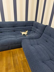 Куплю бескаркасный диван!: отзыв о поиске и выборе. Фото популярной модели мягкой мебели. 5 звезд.