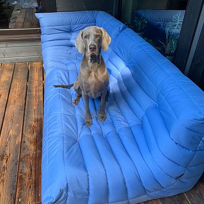 Мебель для зоны отдыха на даче. Отзыв о качестве и атмосфере с фото. 5 звезд.