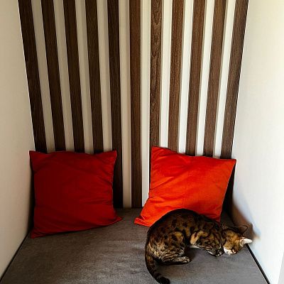 Серый матрасик для прихожей, любой размер и текстура на заказ от фабрики Gliver. Отзыв клиента, рейтинг 5 звезд. 