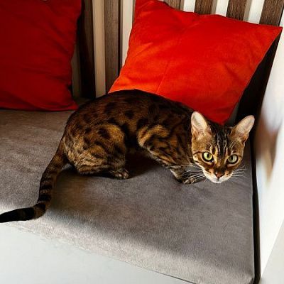 Серый матрасик для прихожей, любой размер и текстура на заказ от фабрики Gliver. Отзыв клиента, рейтинг 5 звезд. 