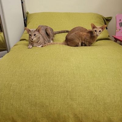 Удобное кресло для чтения и отдыха: отзыв о качестве. Фото в интерьере. Рейтинг 5 звезд.