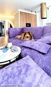 Фото покупателя, оценка 5 - 3