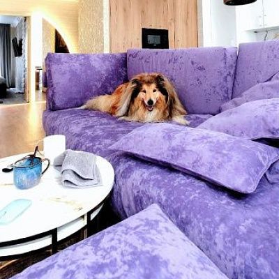 Стильная лаунж мебель для современной гостиной. Отзыв с фото и рейтингом 5 звезд.