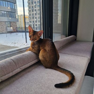 Матрас и валики серого цвета на подоконник точно по размеру. Отзыв клиента о матрасиках от фабрики Гливер, рейтинг 5 звезд. 