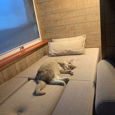 Модульное кресло для зоны отдыха. Отзыв о вариативности мебели с фото. 5 звезд.