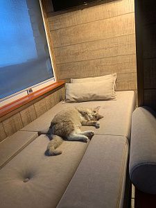 Модульное кресло для зоны отдыха. Отзыв о вариативности мебели с фото. 5 звезд.