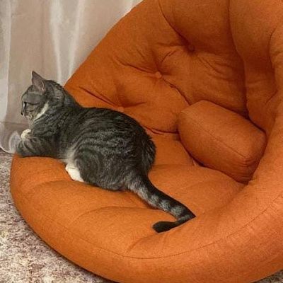 Напольные кресла без каркаса. Отзыв с фото и рейтингом 5 звезд.