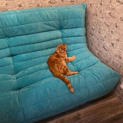 Купить диван на поролоне: отзыв о качестве наполнителя. Фото и рейтинг 5/5.