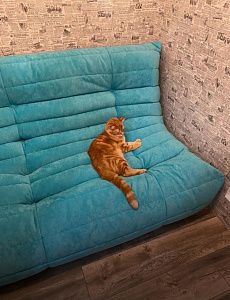 Купить диван на поролоне: отзыв о качестве наполнителя. Фото и рейтинг 5/5.