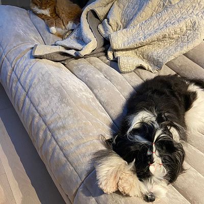 Мягкий бескаркасный диван для ежедневного отдыха. Отзыв с фото и рейтингом 5 звезд.