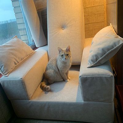 Модульное кресло для зоны отдыха. Отзыв о вариативности мебели с фото. 5 звезд.