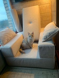 Модульное кресло для зоны отдыха. Отзыв о вариативности мебели с фото. 5 звезд.