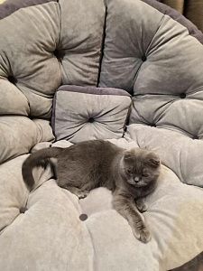 Фото покупателя, оценка 5 - 16