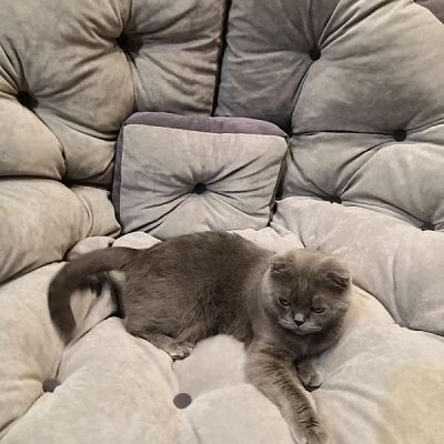 Лаунж кресло для спальни. Отзыв о комфорте и удобстве с  фото. Рейтинг 5 звезд.