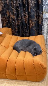 Фото покупателя, оценка 5 - 3