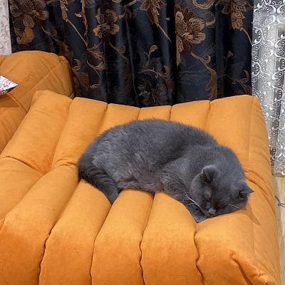 Кресло лаунж для полноценного отдыха. Отзыв с фото в зоне релакса. Высшая оценка 5 звезд.