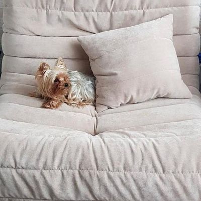 Купить кресло для домашнего кинотеатра с доставкой. Отзыв о комфорте просмотра телевизора с фото. 5/5.