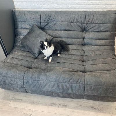 Мягкий диван без каркаса: отзыв о комфорте. Фото в гостиной. 5/5.