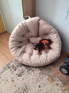 Фото покупателя, оценка 5 - 11