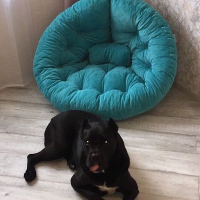 Кресло для кинотеатра домашнего: отзыв о качестве с фото. 5/5