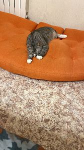 Фото покупателя, оценка 5 - 2