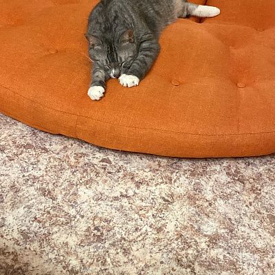 Напольные кресла без каркаса. Отзыв с фото и рейтингом 5 звезд.